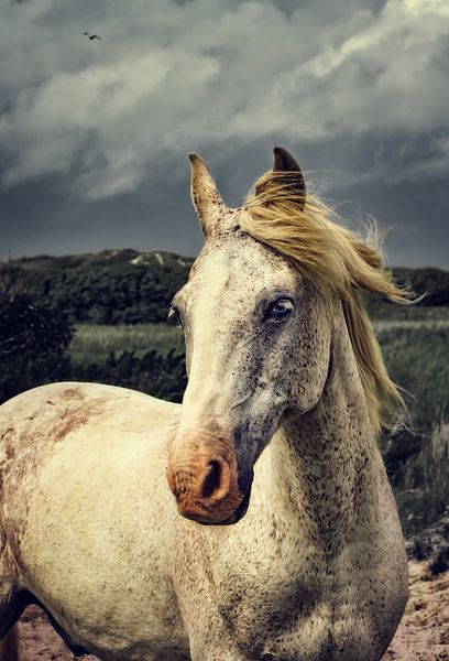  Stormy Day von AD DESIGN Photo & PhotoArt