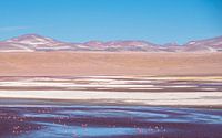 Colours Of The Desert, Bolivien