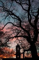 The Domtower at sunset