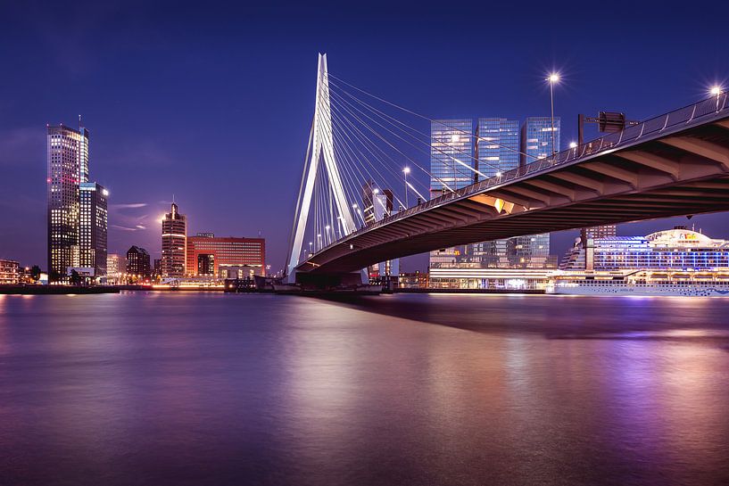 Erasmusbrug en Kop van Zuid van Ronne Vinkx