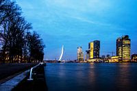 Le pont Erasmus à Rotterdam à la tombée de la nuit