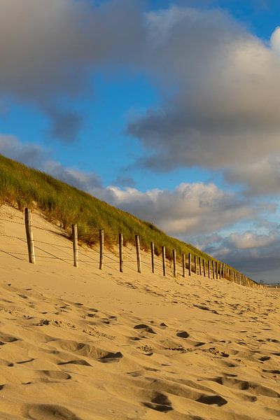 Dunes at sunset by Michael Ruland