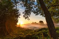 Vue depuis le tramway