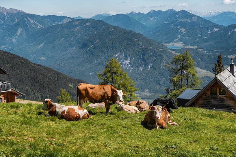 Emberger Alm 02 von arie oversier