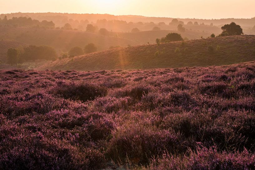 Posbank 5 von Nuance Beeld