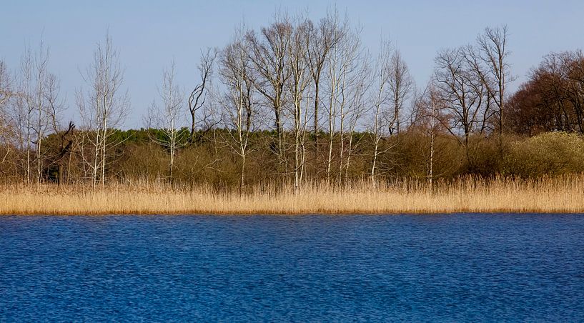 Am See von Thomas Jäger
