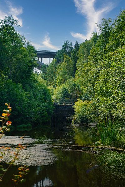Lac en Suède avec des nénuphars, des nuages blancs, de l'eau bleue et des arbres sur la rive par Martin Köbsch