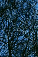 Des possibilités infinies