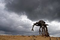War of the world, dead tree national park the highvelduwe