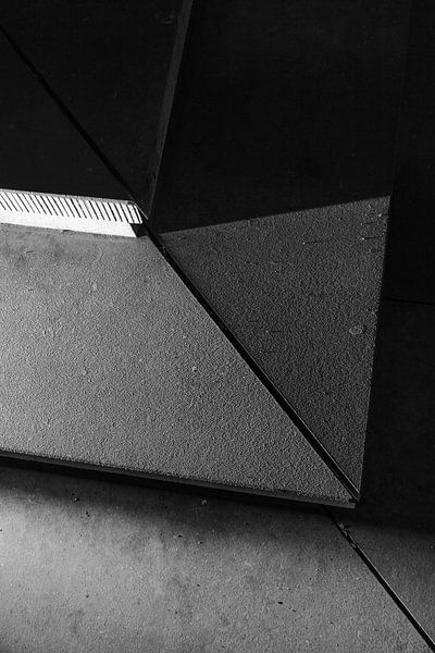 Step into the light by Tom Van den Bossche