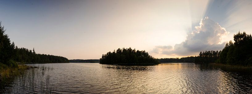 Bright sun above golden lake by Marloes van Pareren