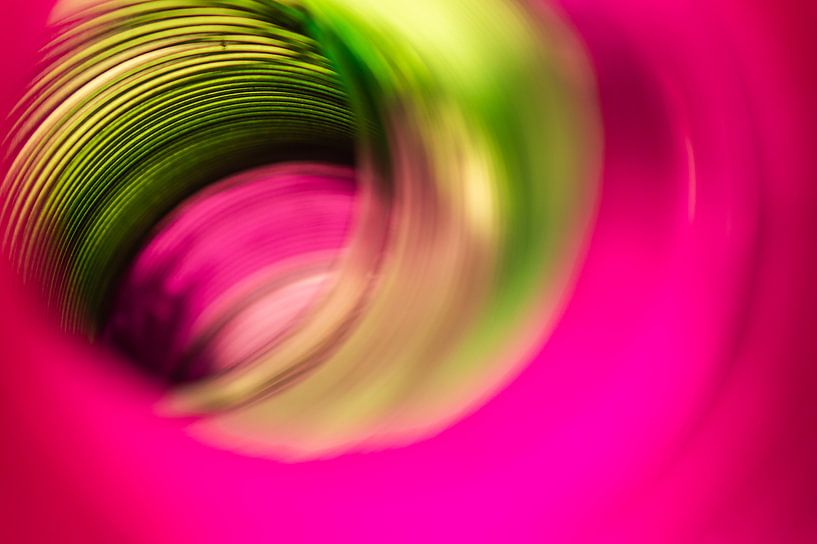 Roze Groen von CapturedByMark .