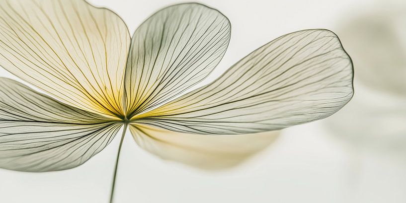 Flower in dark green by Bert Nijholt