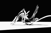 Artistieke Bloem in verval