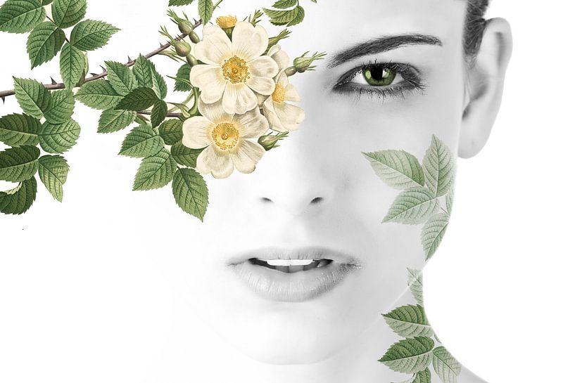 Heute ist grün... von Mirjam Duizendstra