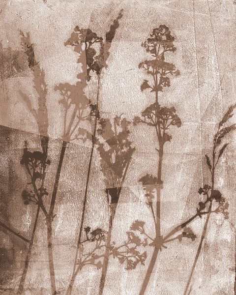 Sogni di fiori. Retro flowers, plants and grasses in sepia brown by Dina Dankers