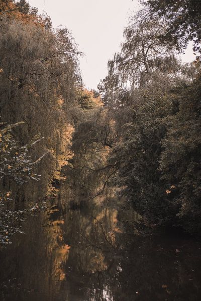 A beautiful autumn day in Stadtpark Gronau, Germany by Ratna Bosch