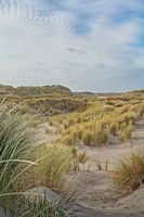 Les dunes de Terschelling
