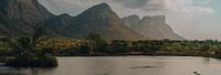 South Africa Hippos in lake, Panorama photo