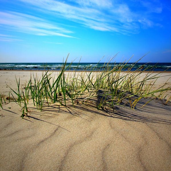 Vagues de sable par Ostsee Bilder