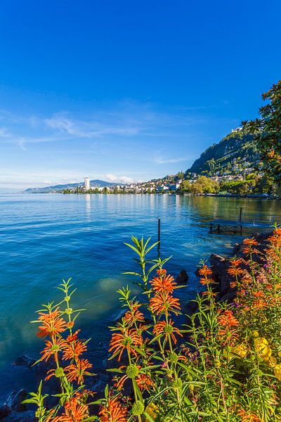 Montreux sur le lac Léman par Werner Dieterich