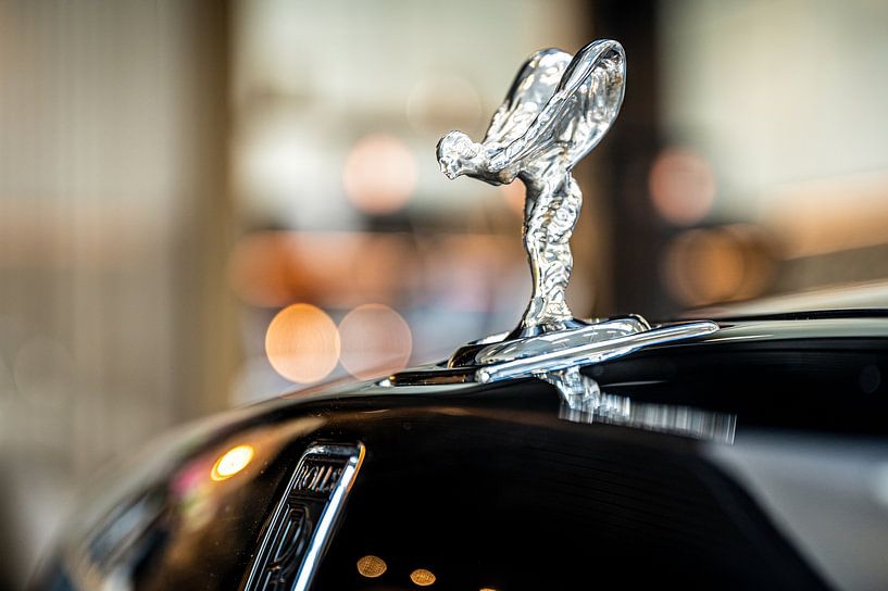 Spirit of Ecstasy by Bas Fransen