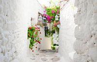 Eine Gasse in der Türkei