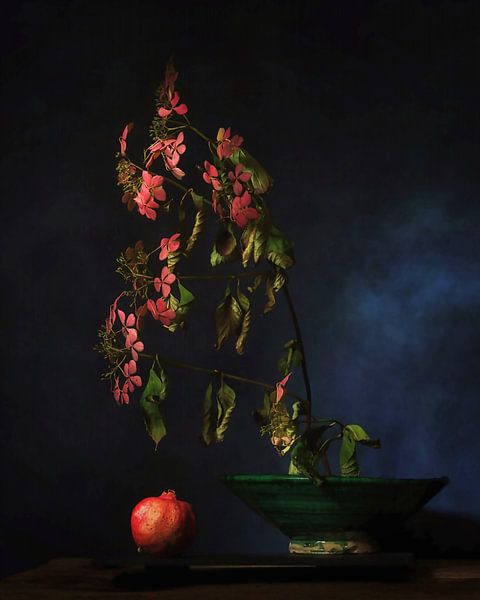 Die Schönheit des Verfalls .S tilleven mit Hortensien von Saskia Dingemans Awarded Photographer