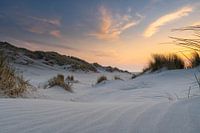 Dunes blanches