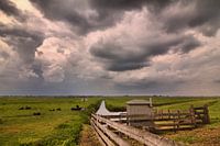 Polder landscape Eemnes