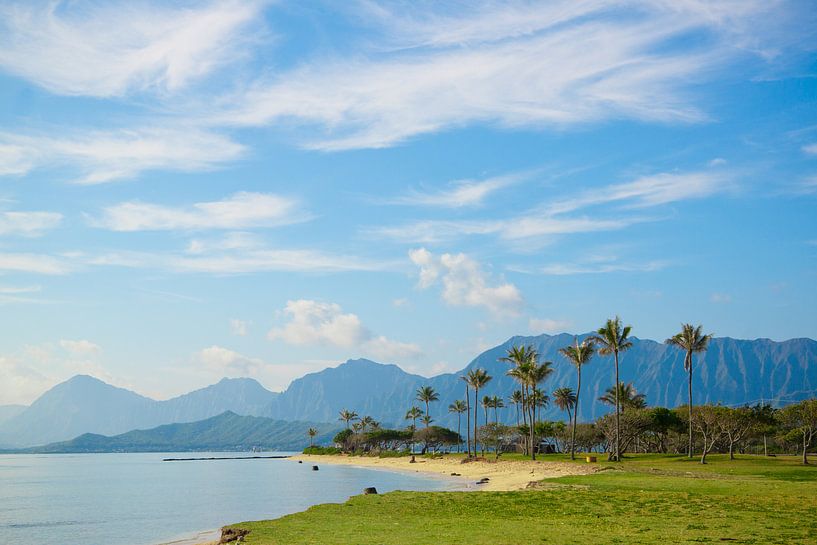 Hawaii par M.e. Amrani