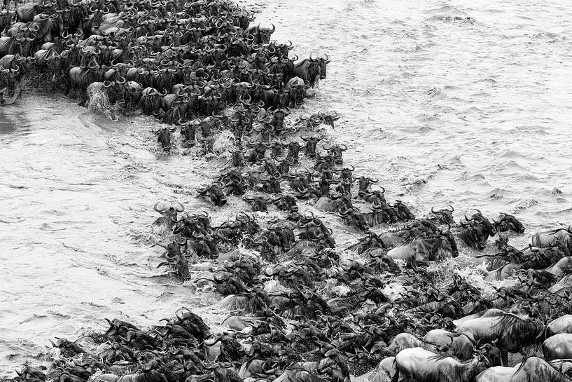 S-Crossing by Marijn Heuts