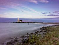 Pferd des Marken-Leuchtturms