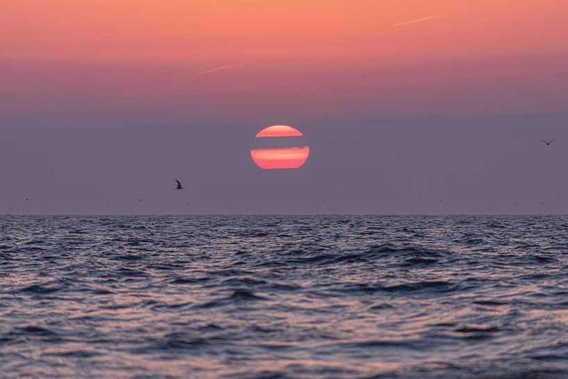 Two halves of sun by Yanuschka | Fotografie Noordwijk