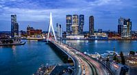 Skyline Rotterdam by Night - Rotterdam's Finest !  Colour