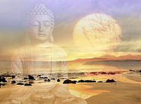 Oase der Entspannung