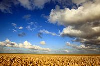 Graanrepubliek in full glory