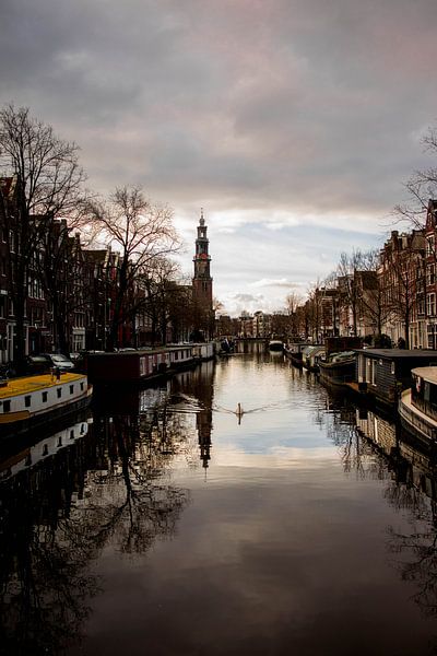 Grabenschwan von Hakim Chafouk Idrissi