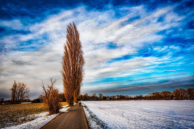 Paysage d'hiver avec des arbres et de la neige devant la formation des nuages par Dieter Walther