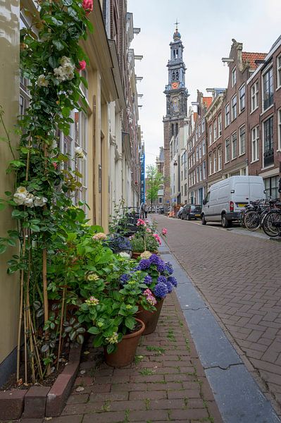 Bloemstraat Amsterdam by Peter Bartelings