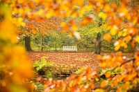 Banc avec une belle vue