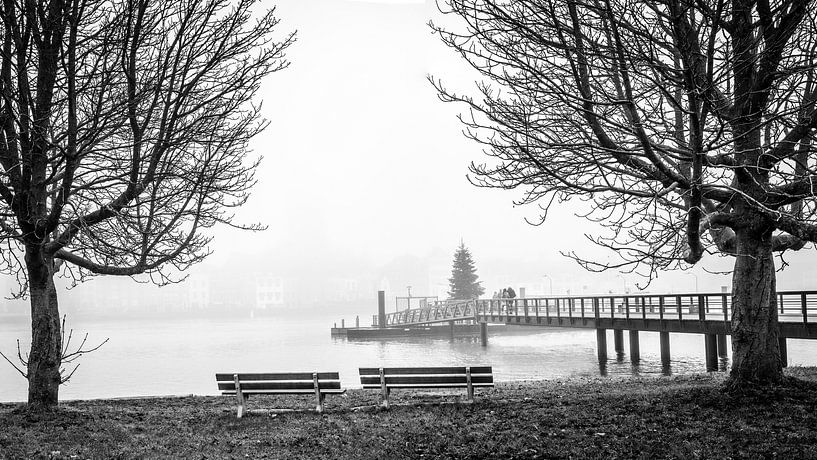 Arbres et vue de Deventer Overijssel Pays-Bas dans le brouillard Noir et blanc par Bart Ros