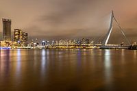 Erasmusbrücke Rotterdam beleuchtet