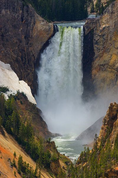Chute d'eau Lower Falls, Yellowstone N.P, Wyoming par Henk Meijer Photography