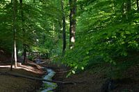 De Oorsprongbeek op de Hemelsche berg.