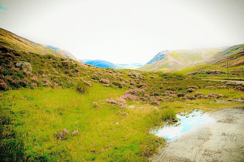 Schottland von Bianca  Hinnen