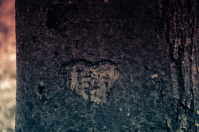 Le cœur est aussi dans la nature, arbre avec une marque de cœur par Pix-Art By Naomi.k