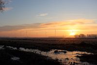 Morgentau in den Niederlanden