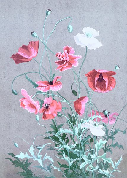 Doux coquelicot par FRESH Fine Art