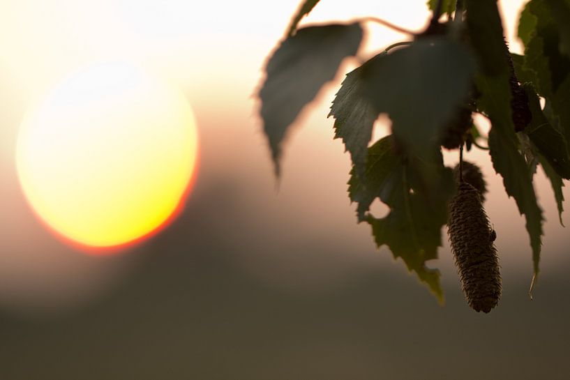 Zonsondergang von Patrick Brouwers